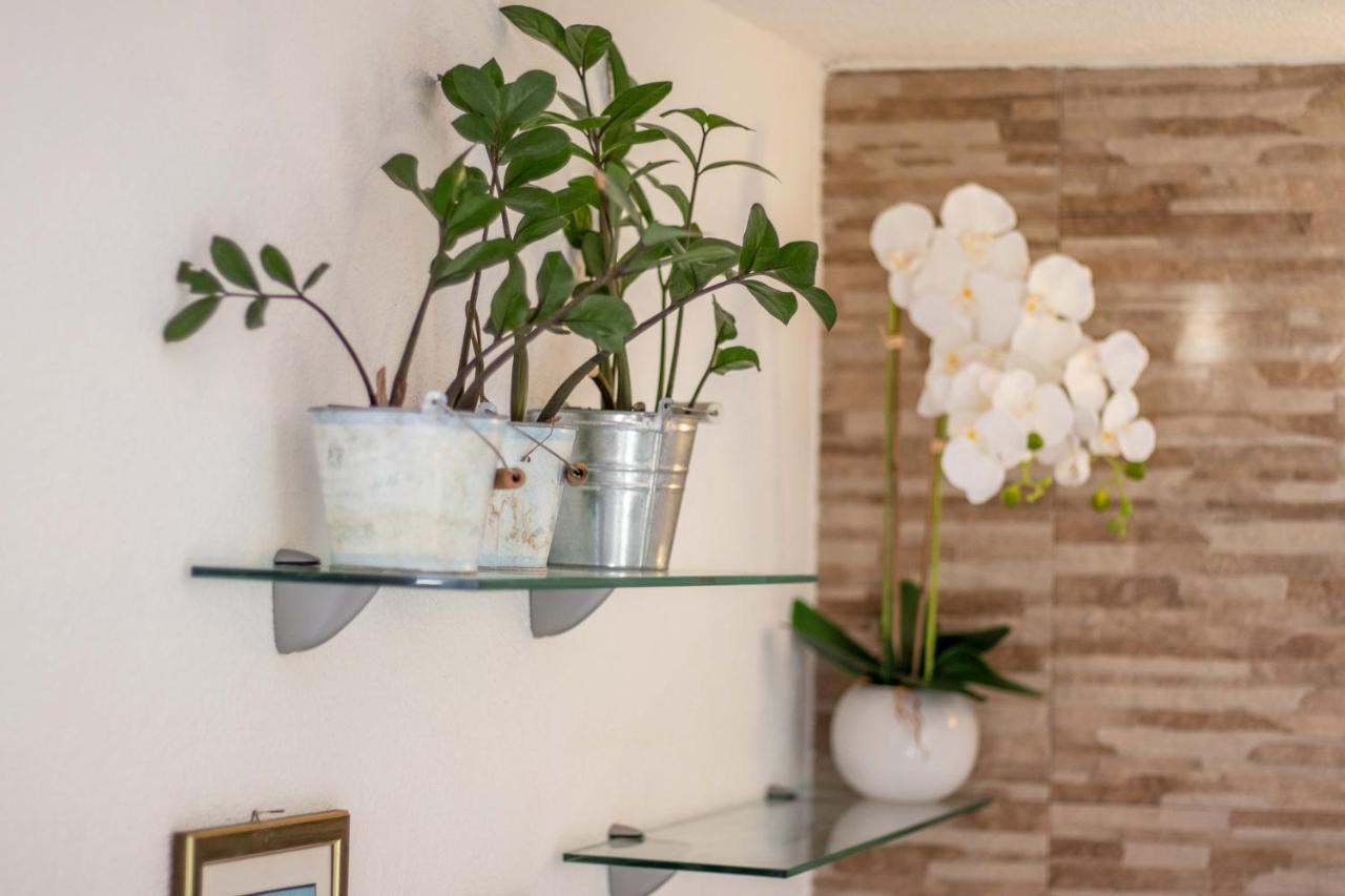 Petra Apartment Palit Εξωτερικό φωτογραφία